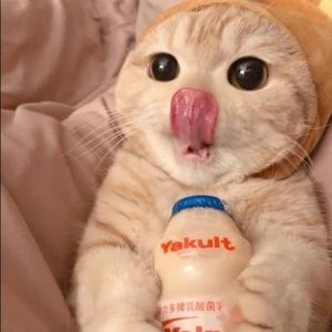 Meet your Posher, Shayden